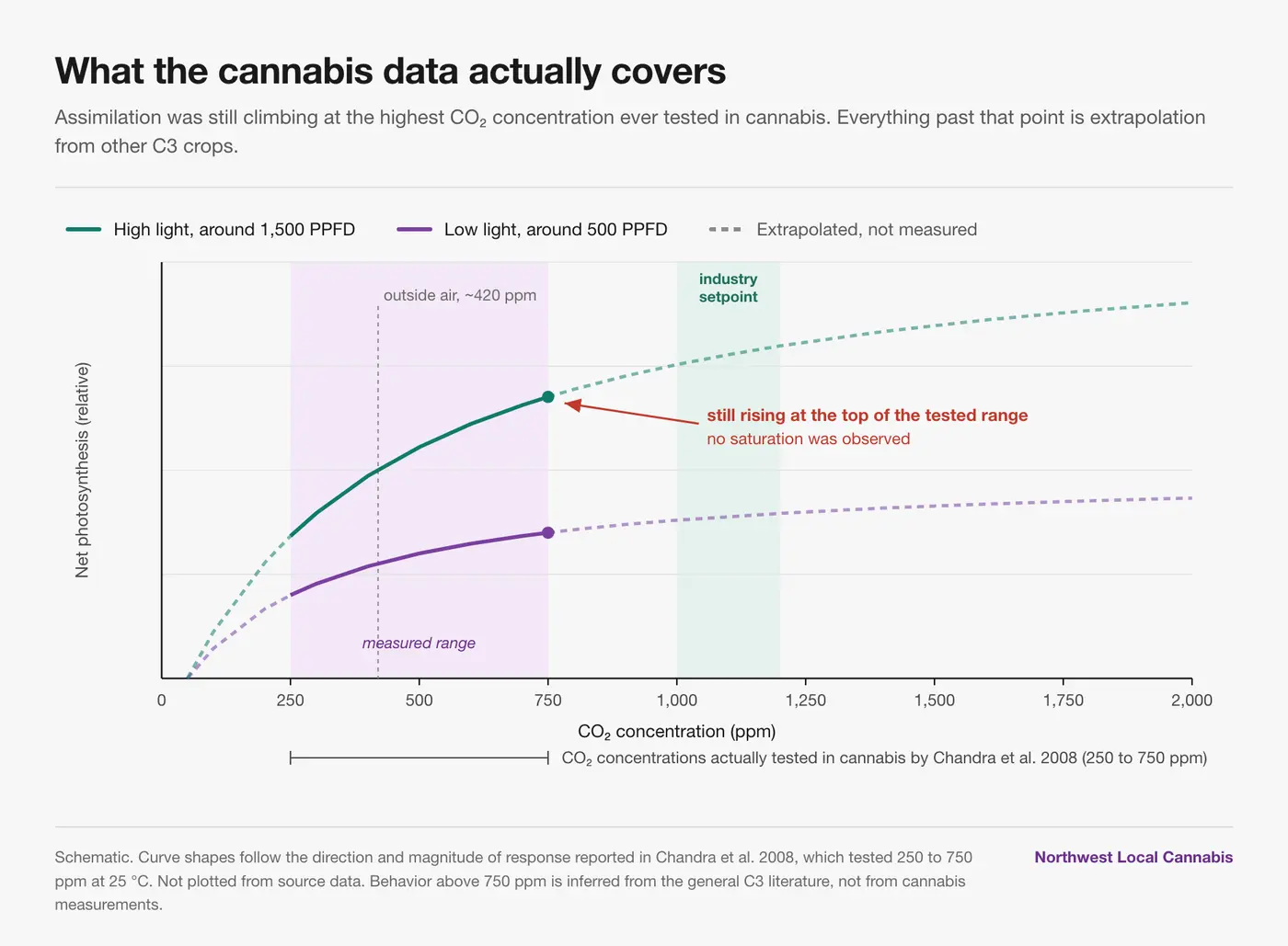 Line chart of net photosynthesis against CO2 concentration for cannabis at high and low light. Both curves are drawn solid only across the 250 to 750 ppm range tested by Chandra et al. 2008 and dashed beyond it, showing assimilation still rising at the top of the tested range with no saturation observed, and the 1,000 to 1,200 ppm industry setpoint band sitting entirely in extrapolated territory.