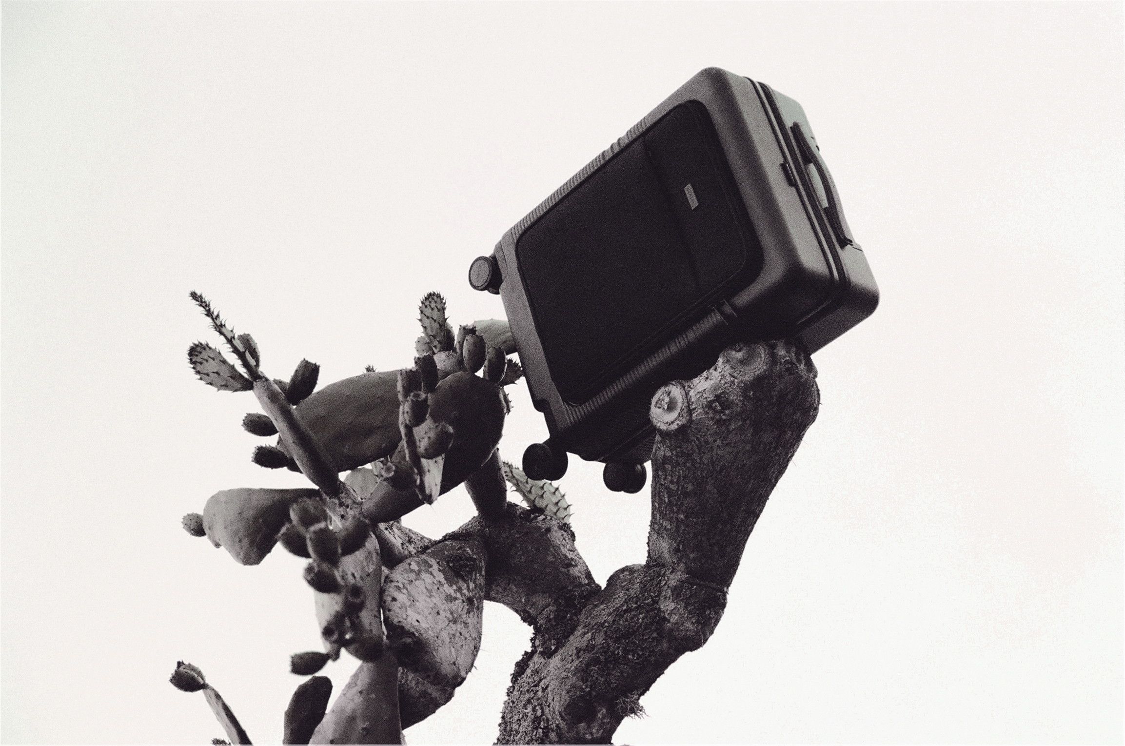 NORTVI starring GAIUS for NORTVI, photograph 2 by Pascal Behring