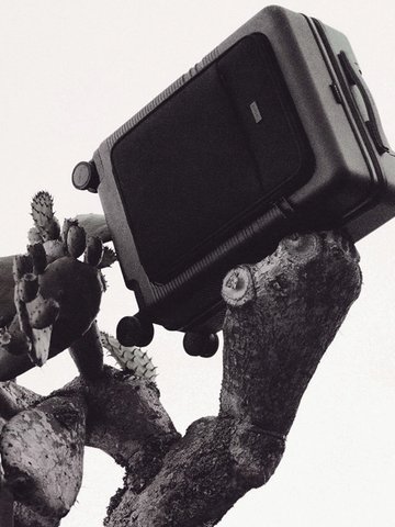 NORTVI starring GAIUS for NORTVI, photograph 2 by Pascal Behring