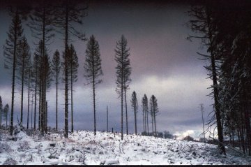 Winterwonderland, photograph 1 by Pascal Behring