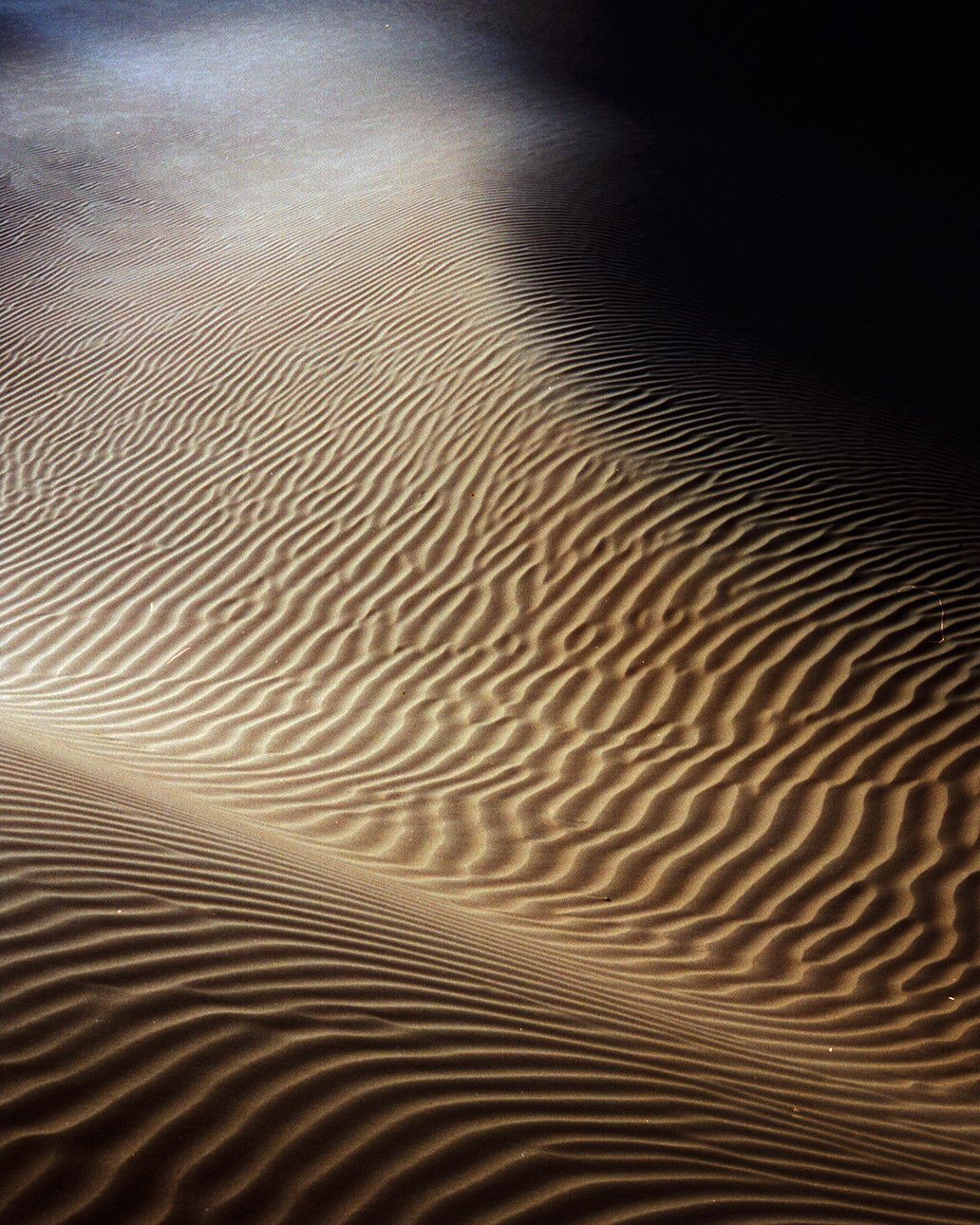 Desert, photograph 1 by Pascal Behring