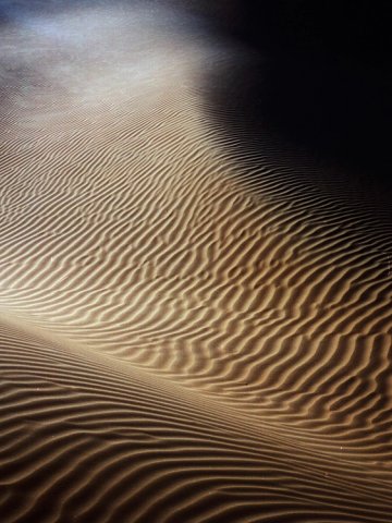 Desert, photograph 1 by Pascal Behring