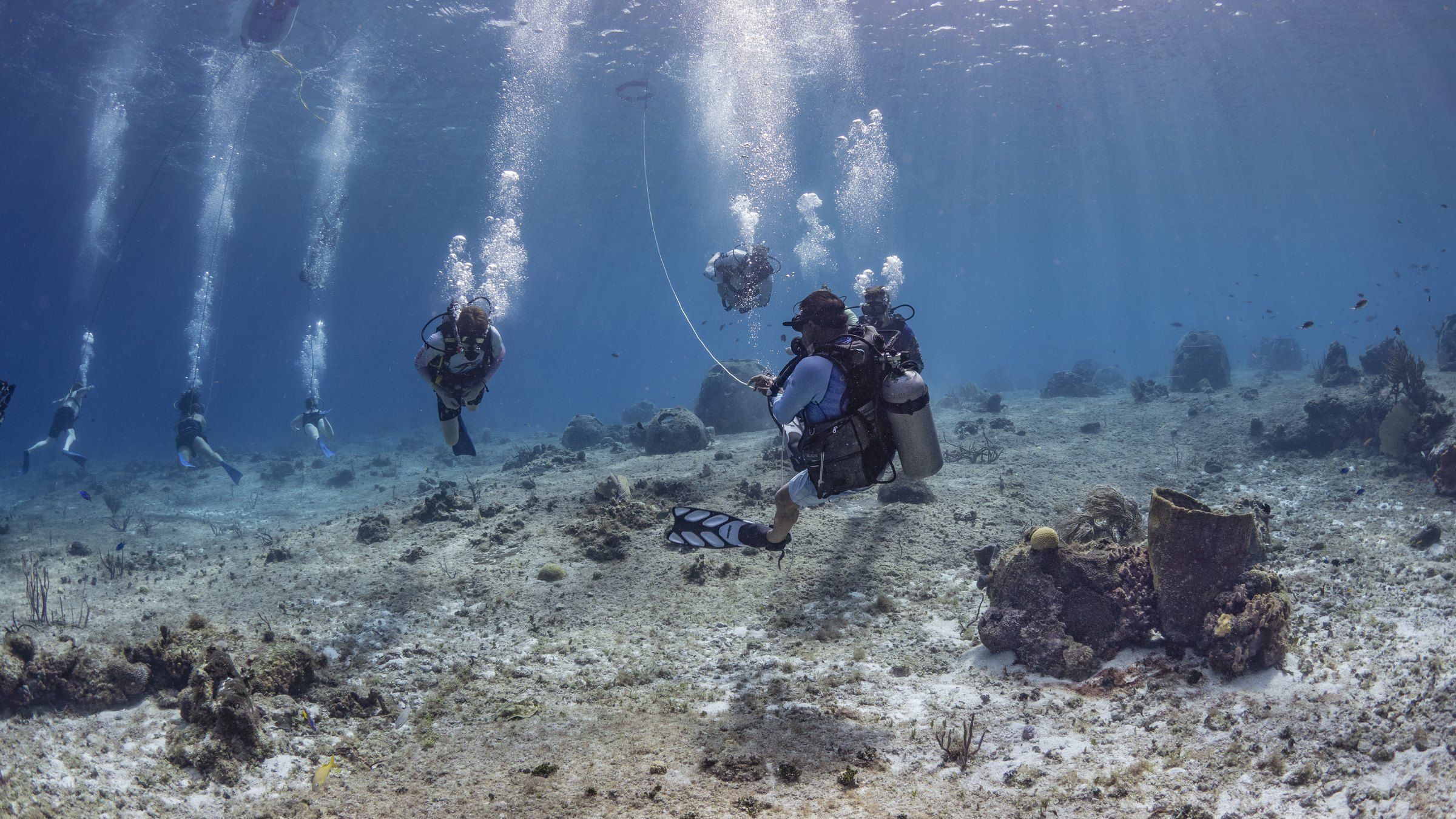Grupo de buzos nada sobre el fondo arenoso de un arrecife de Cozumel, con esponjas y corales en primer plano