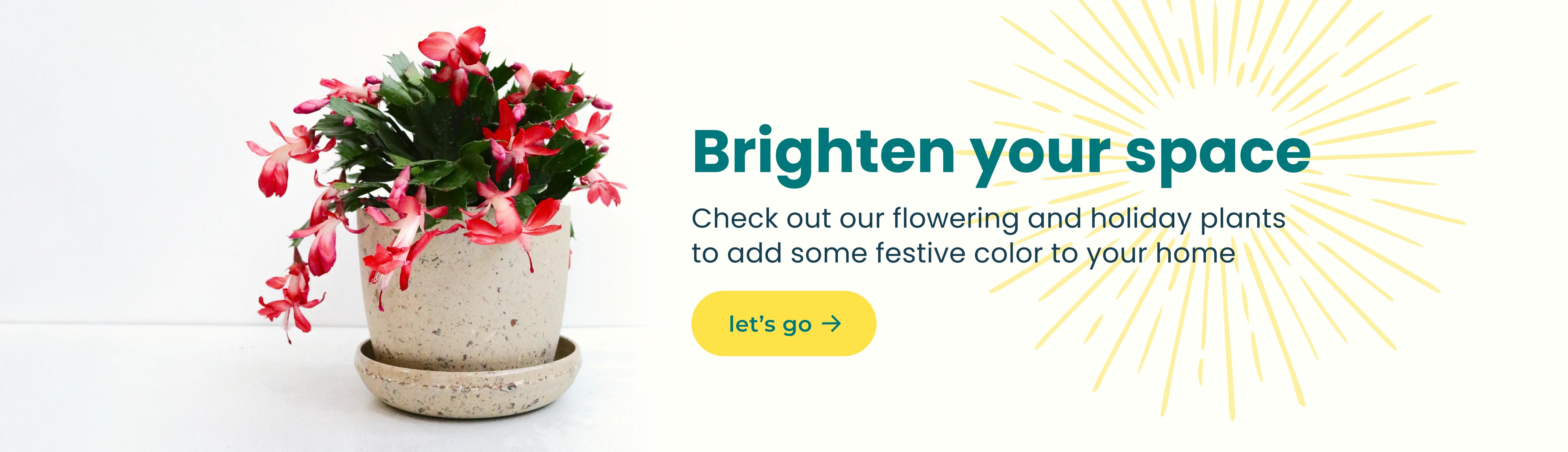 Brighten your home