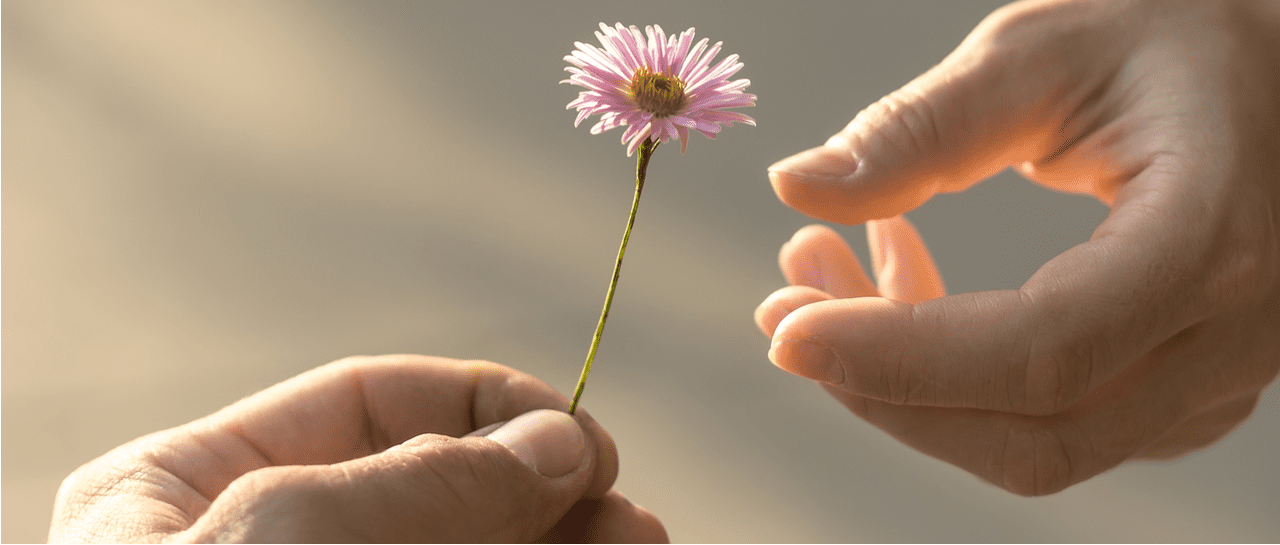 Sustainable giving for better living