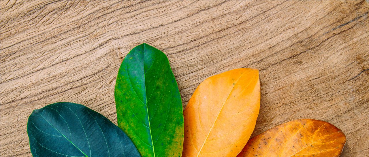 Transform your words in 4 steps