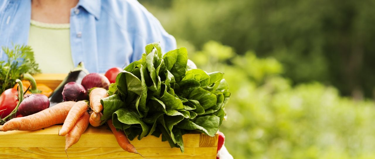 The surprising truth about protein