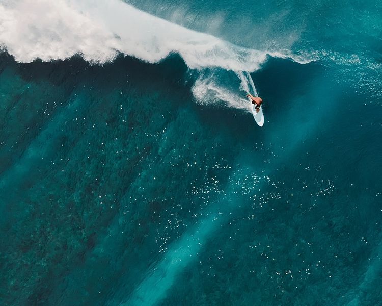 a man with a beard is running in a park .