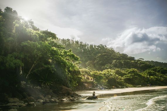 the sun is shining through the trees on the beach .