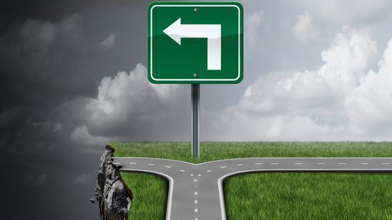 a green street sign with an arrow pointing to the left at a fork in the road .