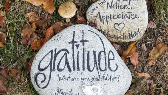 two rocks with gratitude written on them are sitting in the grass .