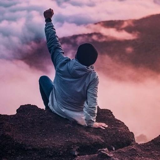 a man is sitting on top of a rock with his fist in the air .