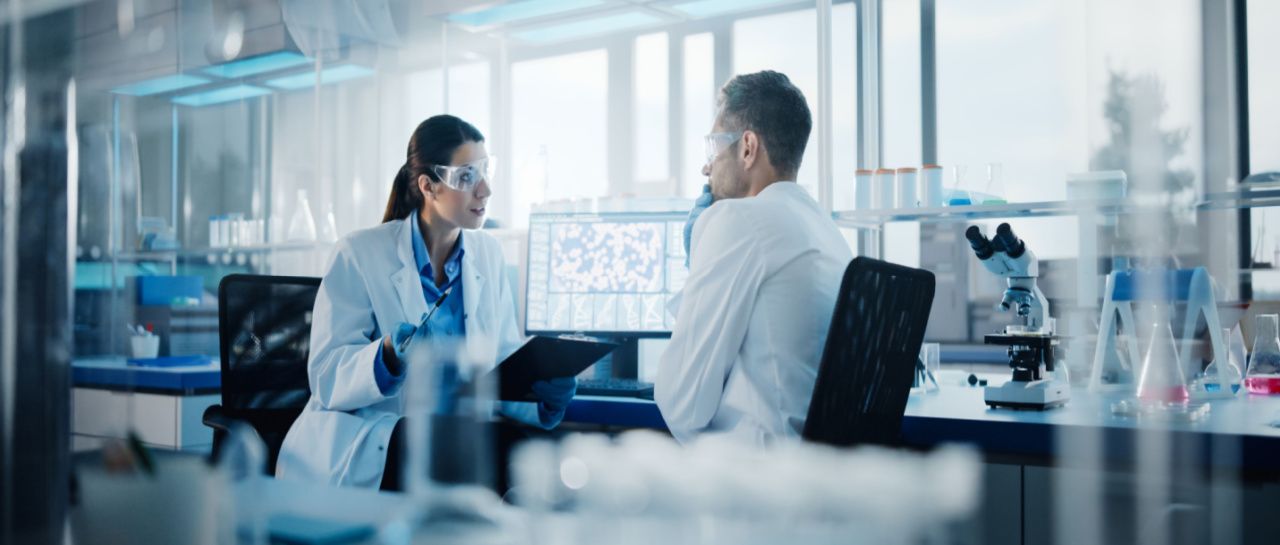 What are stem cells used for?