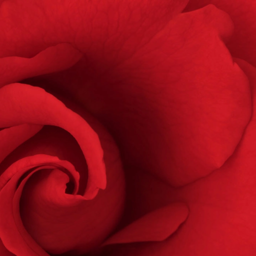 a close up of a dollar bill with a green background