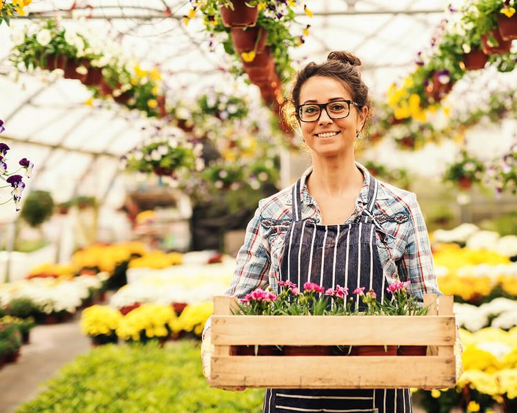 Ignite Your Entrepreneurial Success