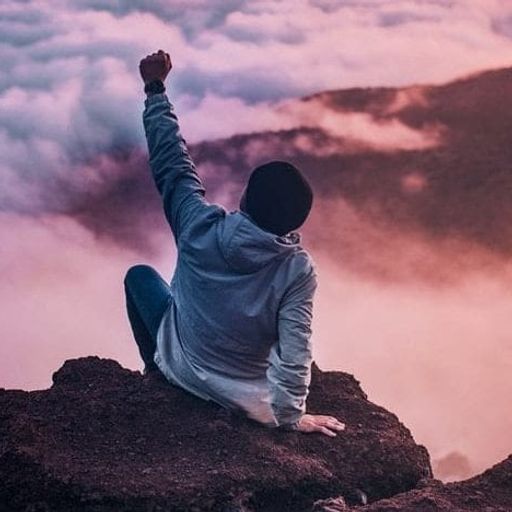 a man is sitting on top of a rock with his fist in the air .