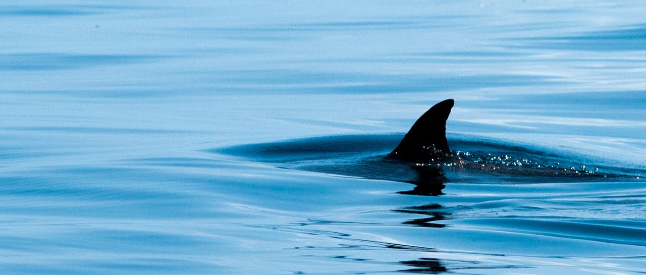 How to #win at social media