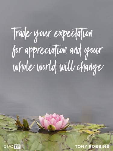 a quote by tony robbins with a water lily in the background