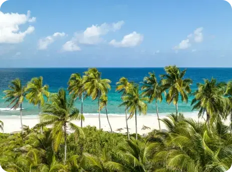 Aerial view of a grand beachfront resort with pools, palm trees, and a turquoise ocean.