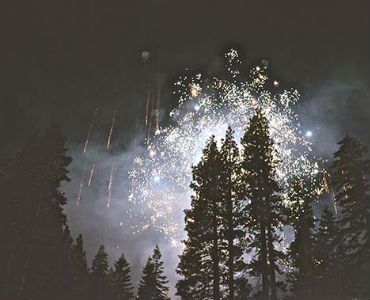 a fireworks display in the night sky with trees in the foreground .