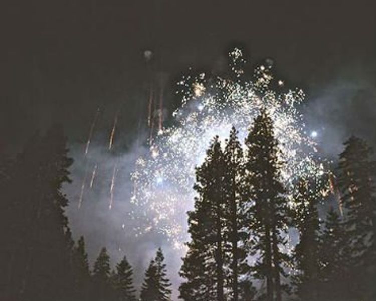 a fireworks display in the night sky with trees in the foreground .