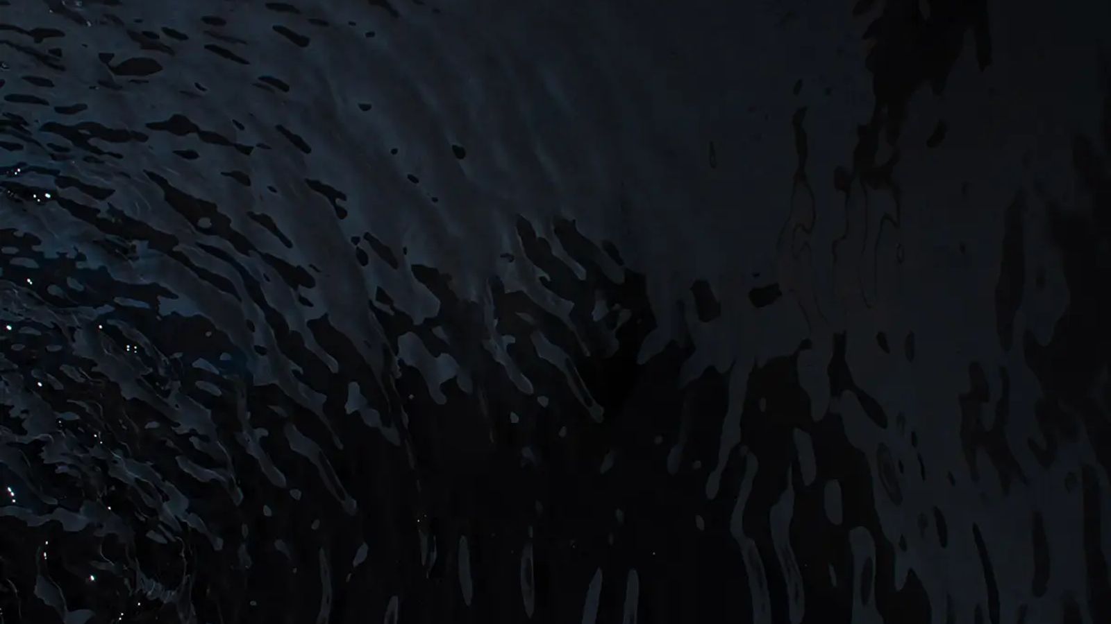 Dark, rippling water surface.