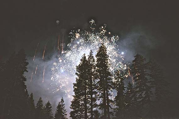a fireworks display in the night sky with trees in the foreground .