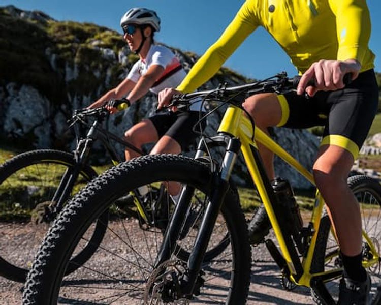 Silhouetted person viewing a city skyline at sunset with digital financial graphs overlaid.