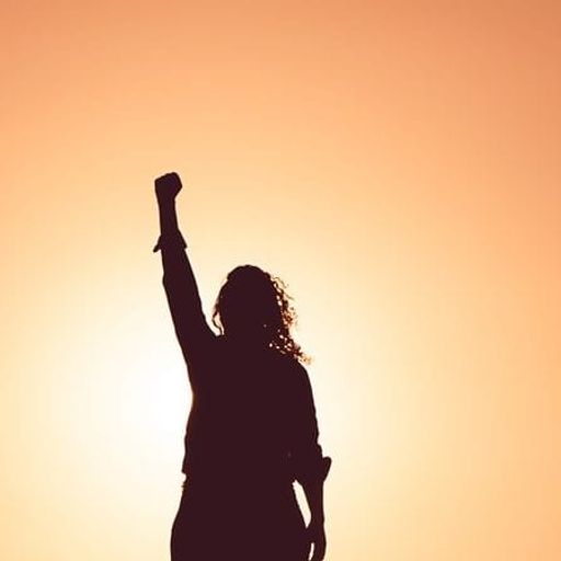 a silhouette of a woman raising her fist in the air at sunset .