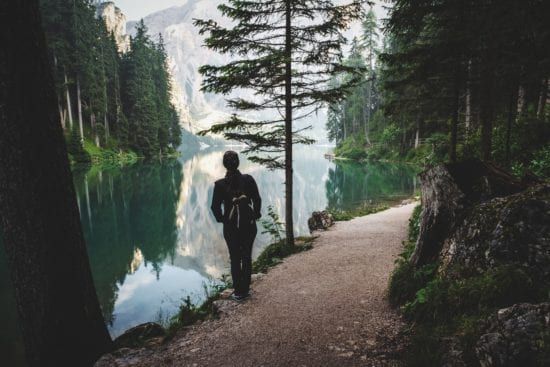 a person is walking along a path next to a lake in the woods .