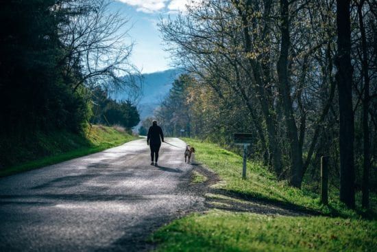 a man is walking a dog on a leash down a road .