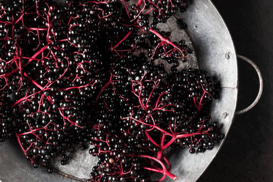 Elderberry
