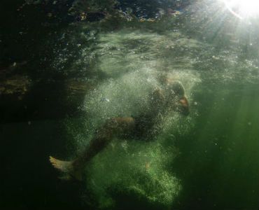 a person is swimming underwater in a green lake .