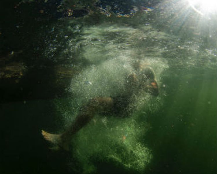 a person is swimming underwater in a green lake .