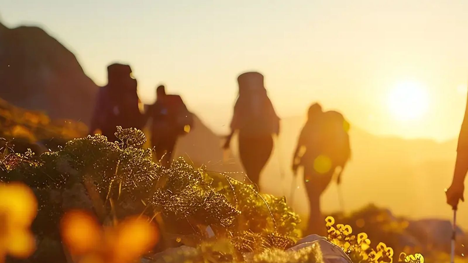 Mountain hikers silhouetted against a vibrant golden sunrise.
