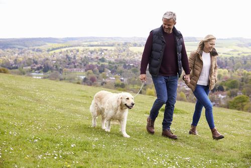 a man and woman are walking a dog on a leash in a field .