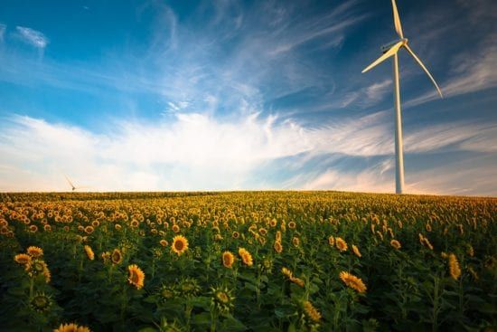 a wind turbine is sitting in the middle of a field of sunflowers .