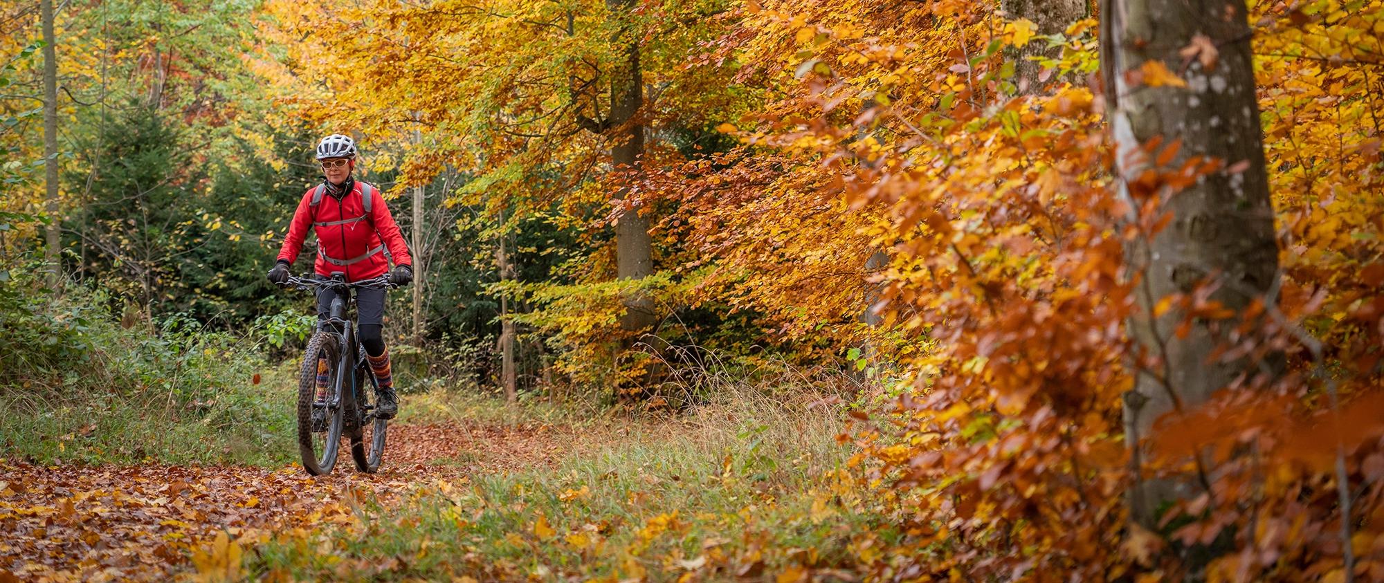 Woman cycling on a leaf-strewn forest path in autumn.