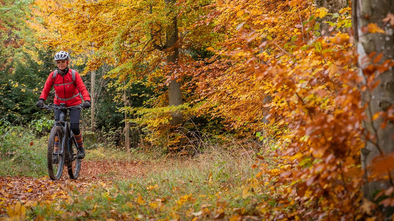 Woman cycling on a leaf-strewn forest path in autumn.