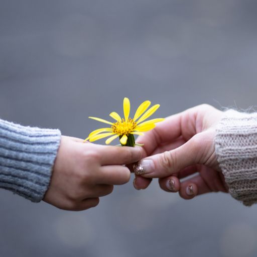 a person is giving a yellow flower to another person .