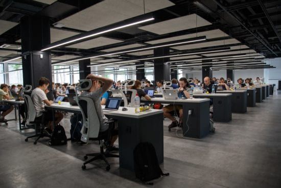 a large group of people are sitting at desks in an office using laptops .