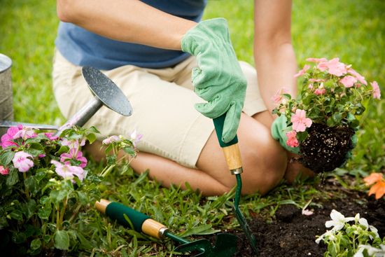 a woman is kneeling down in the grass planting flowers in a garden .