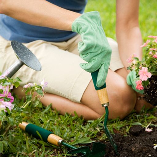 a woman is kneeling down in the grass planting flowers in a garden .