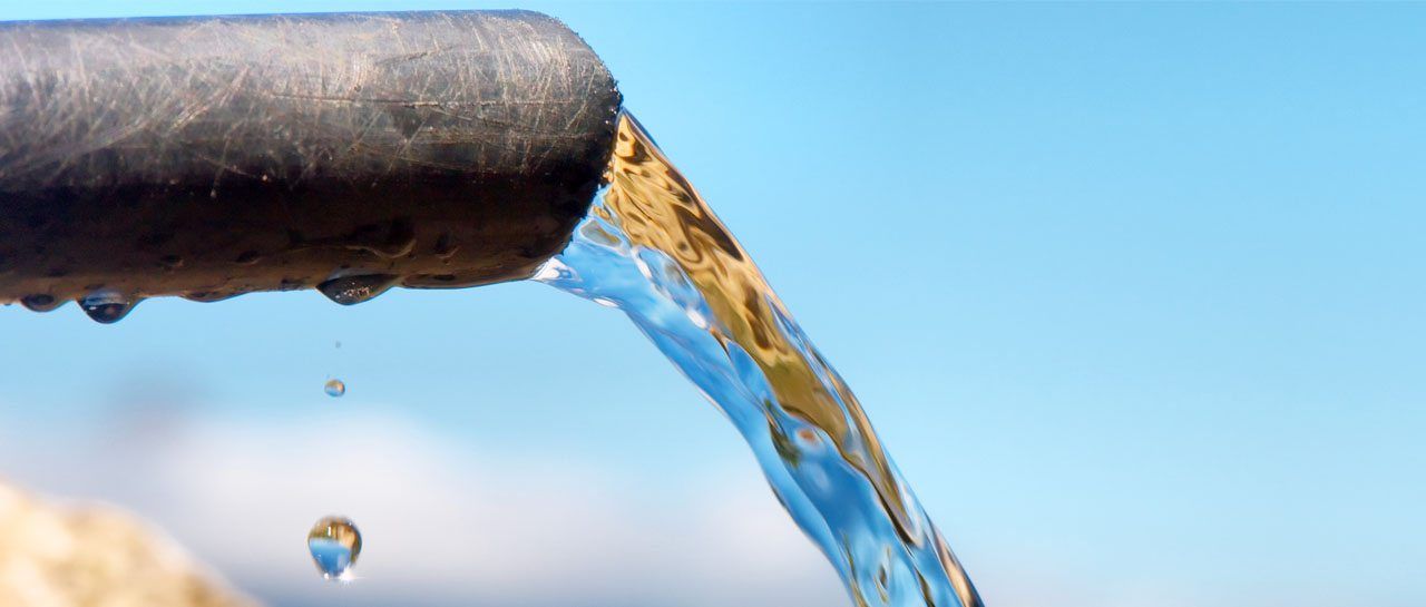 How to remove toxins from your body