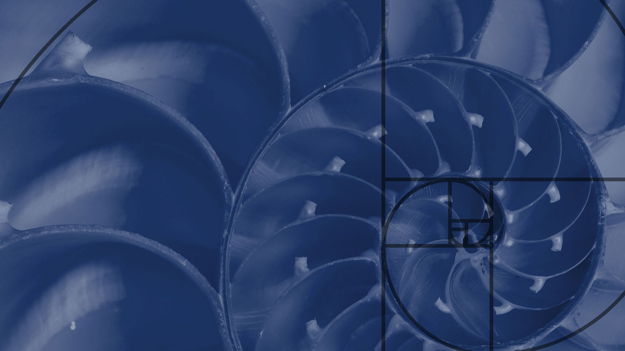 a blue spiral with a golden ratio in the middle