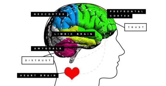 A case of damaged trust