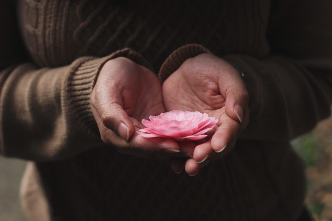 a woman is holding a pink flower in her hands .