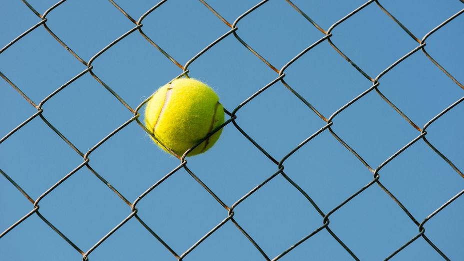 Tennis ball in Chain Link