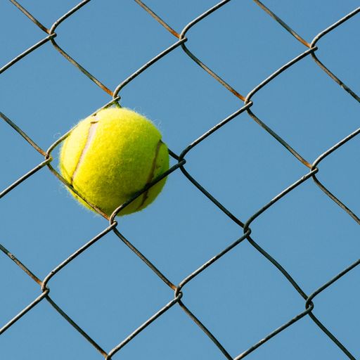 Tennis ball in Chain Link