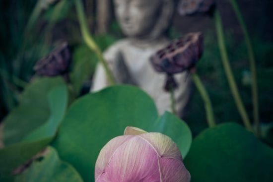 Principles of guided meditation